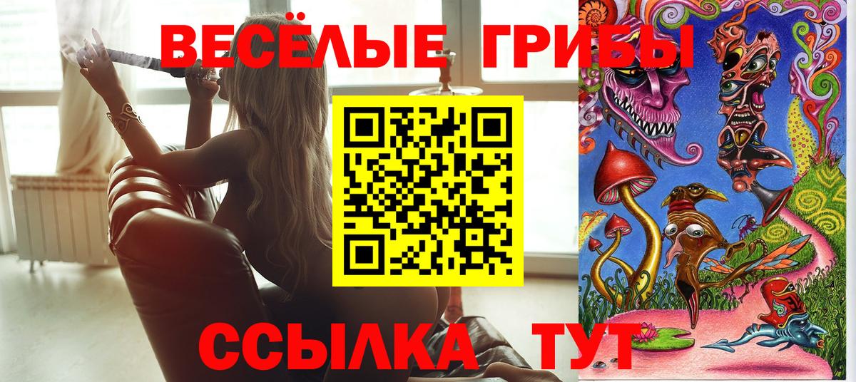 Псилоцибиновые грибы Psilocybine cubensis  Вход с VPN  Знаменск  Псилоцибиновые грибы мицелий 