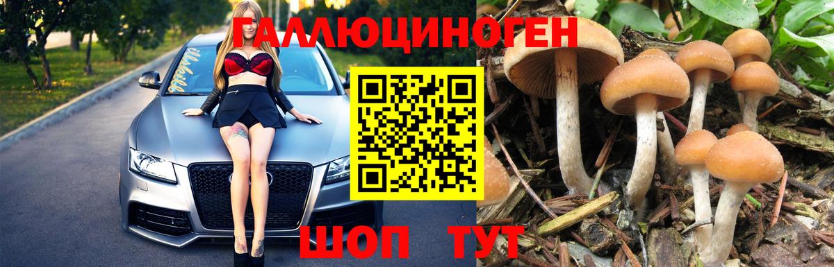 Галлюциногенные грибы ЛСД Знаменск